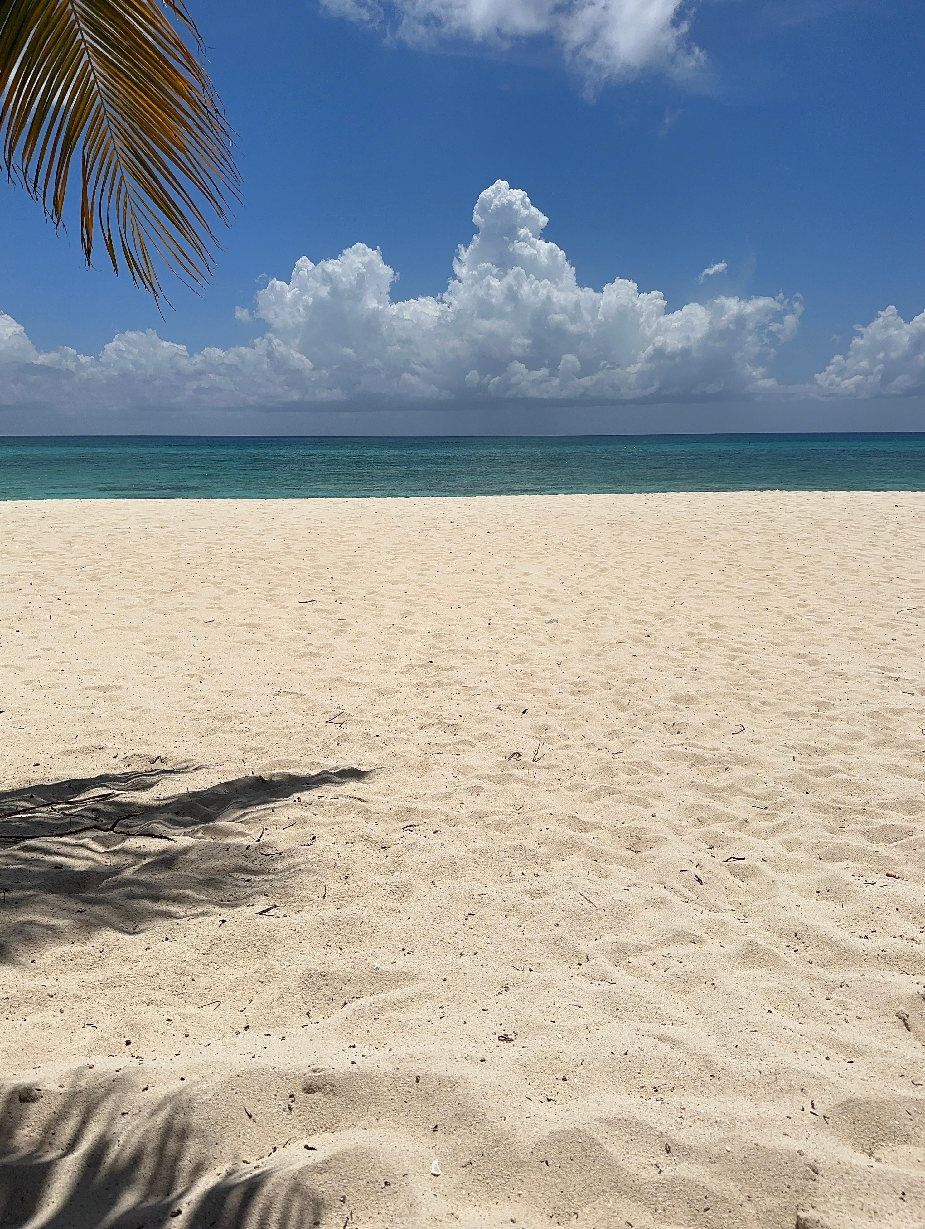 Beach view from under canopy