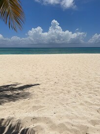 Beach view from under canopy