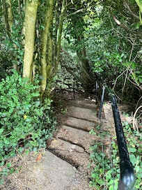 Forest trails