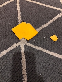 The slice of cheese with a bite out of it waiting for us when we walked out our door one morning, lol. Where was the cheese monster?