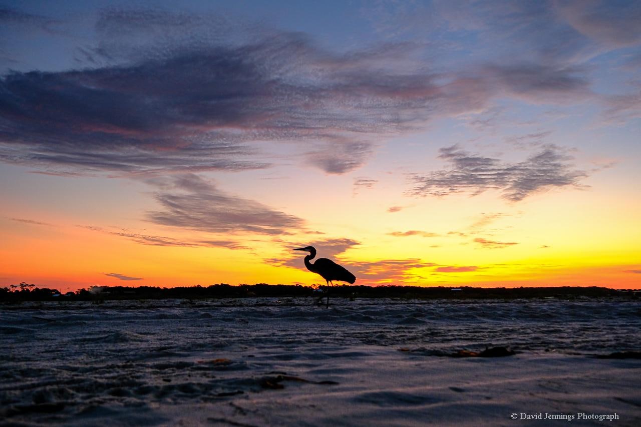 Sunrise on the beach