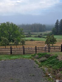 Waking up to a beautiful view