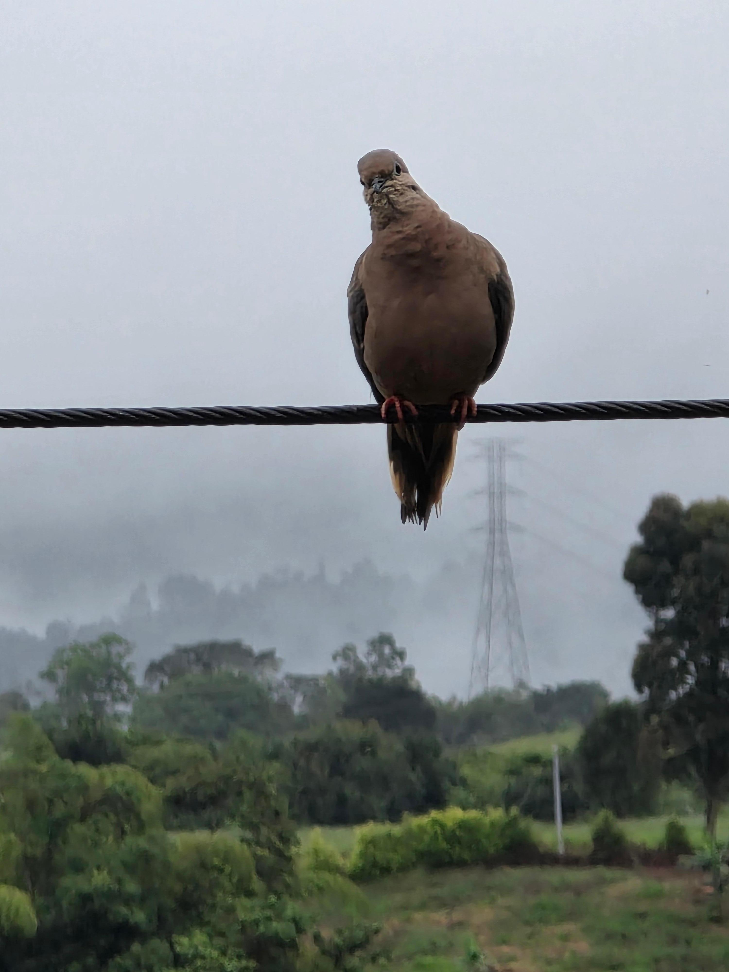 My biohabitat roomies would check in every morning 