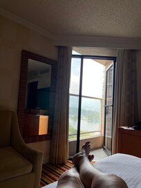 The view from my window