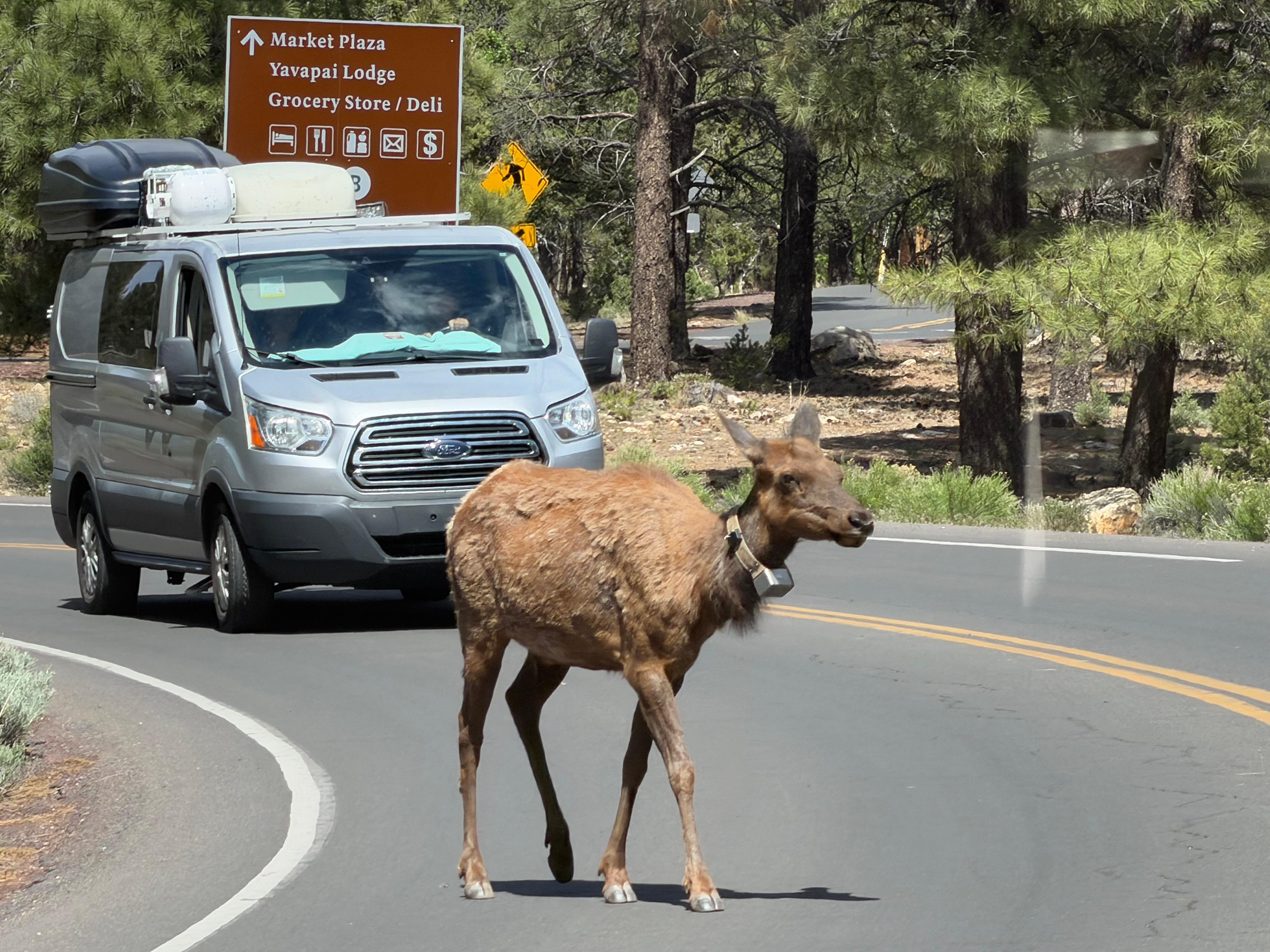 Touring the Canyon 