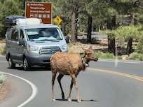 Touring the Canyon