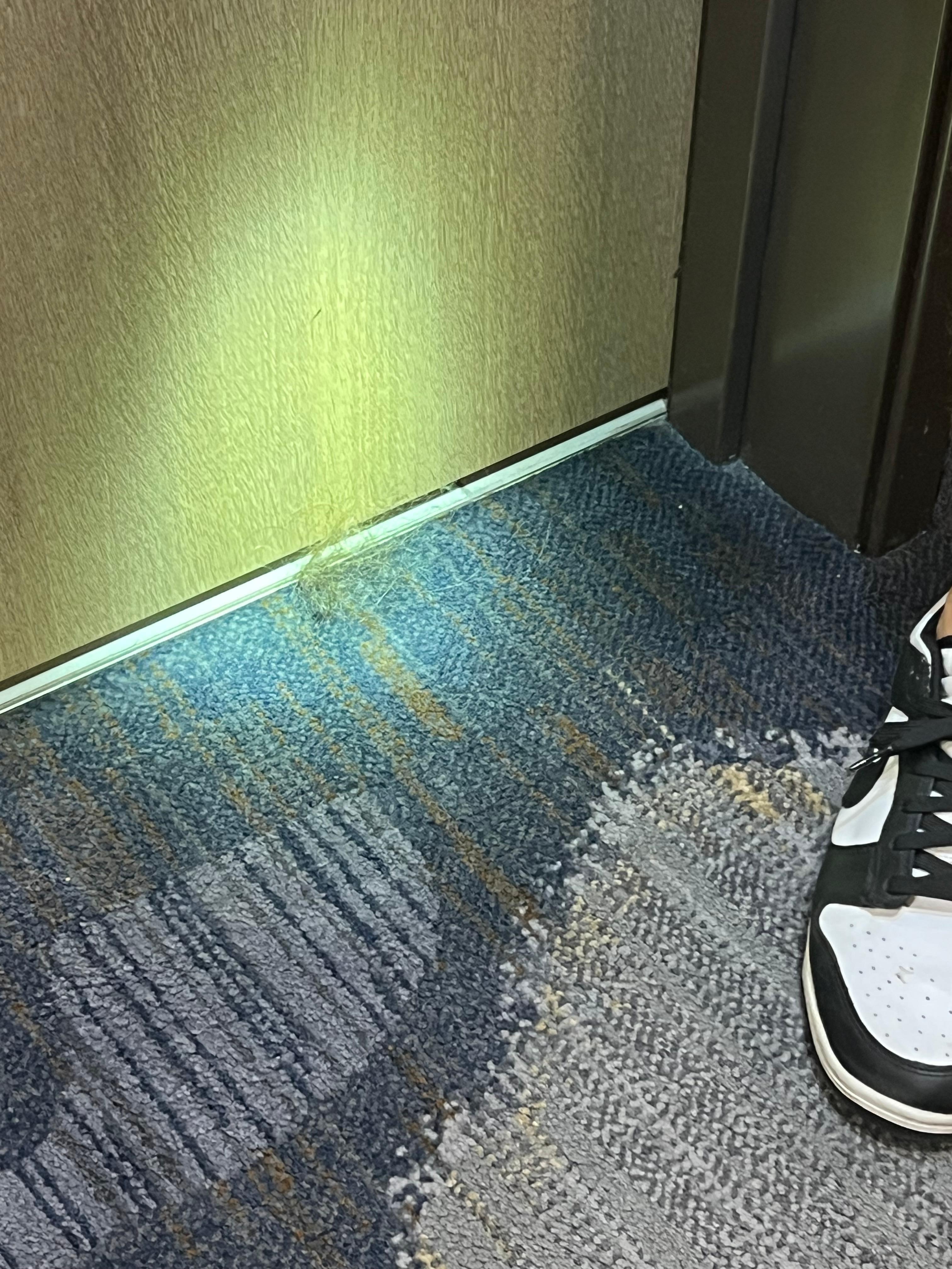 Large hair ball on floor in hallway outside of our room. 