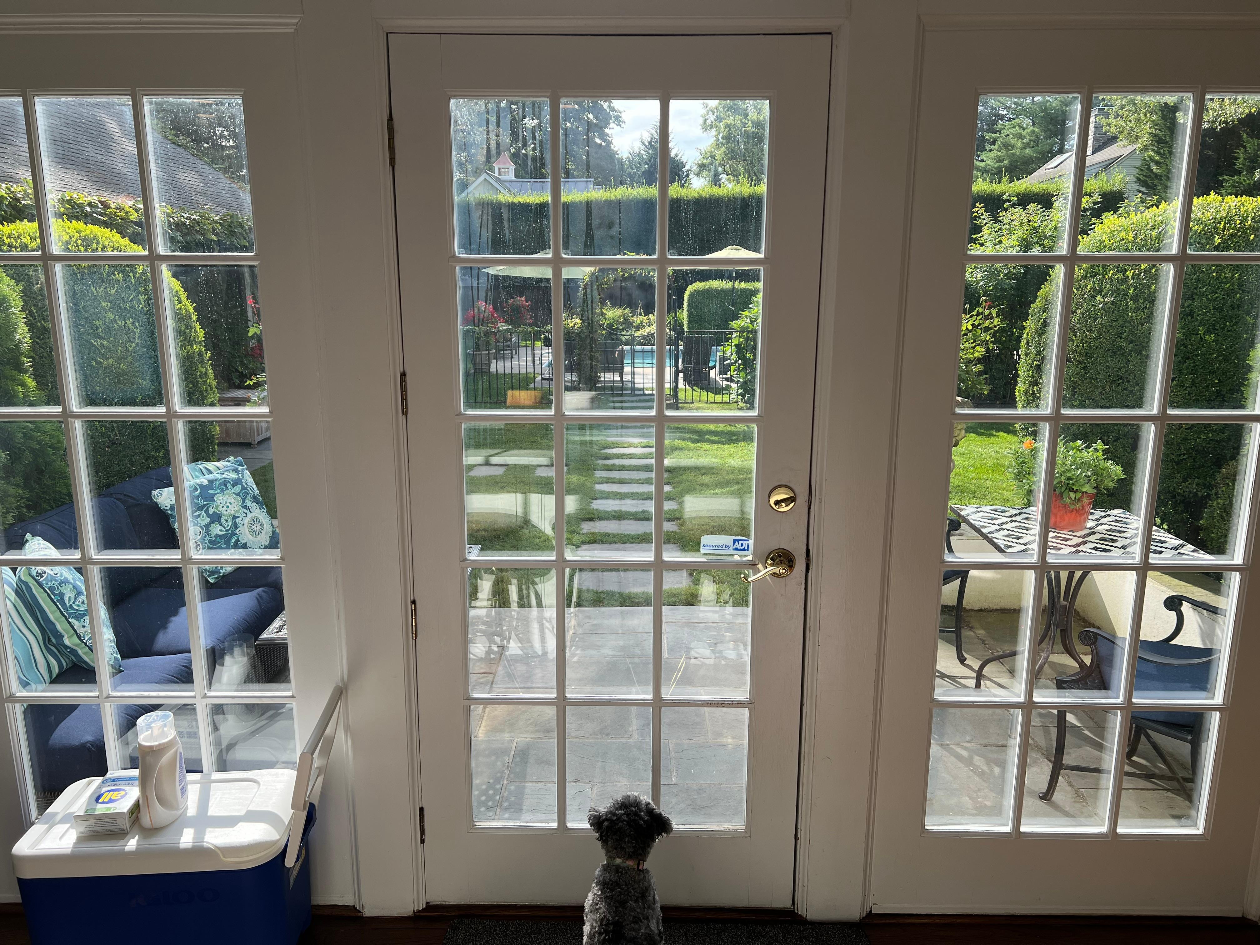 View from kitchen to back yard 