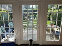 View from kitchen to back yard