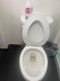 Maintenance gave us some fabulouso spray to pour in the toilet