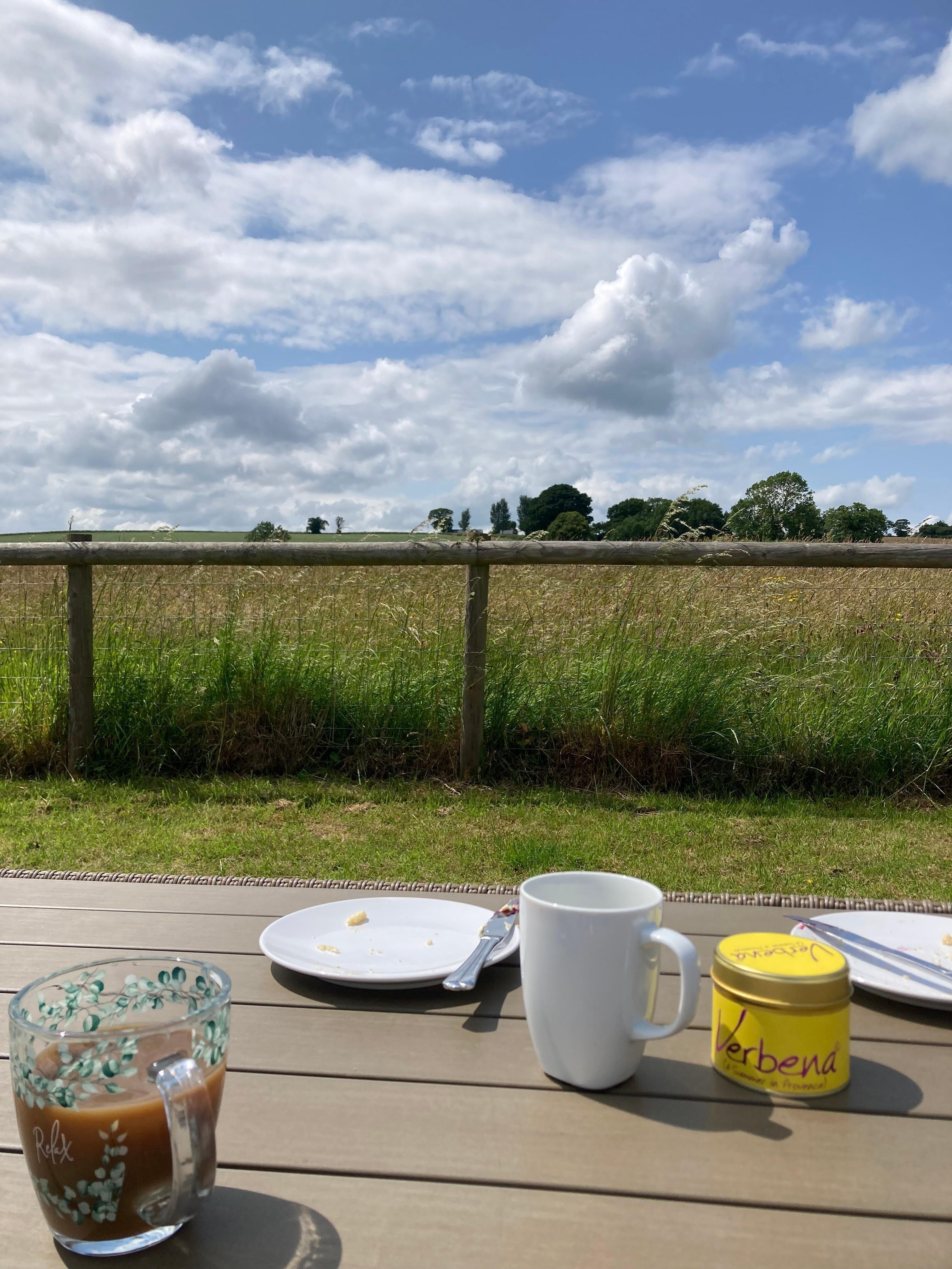 View from garden seating area over wildflower meadow 