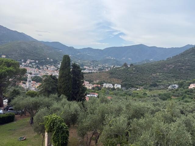 One view