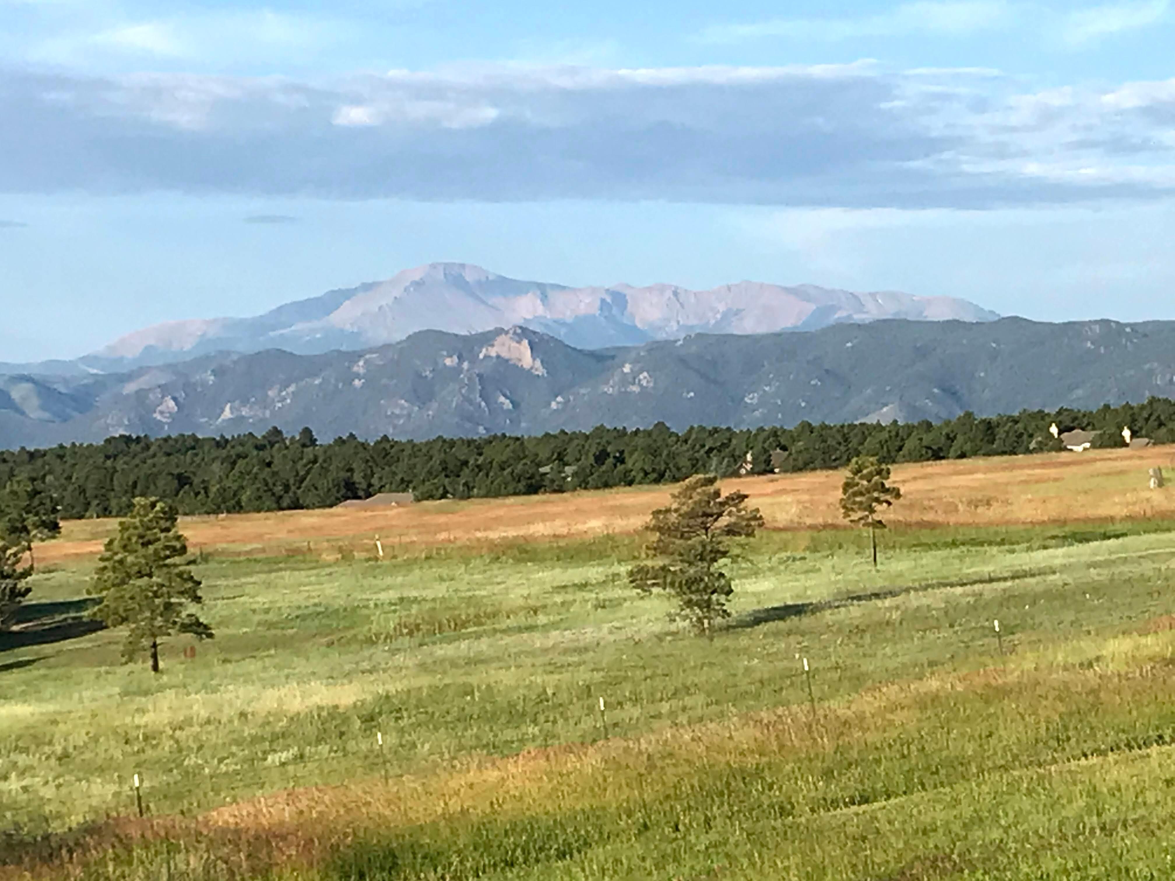 Our view from the house