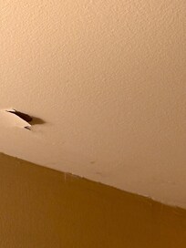 Peinture qui décolle du plafond