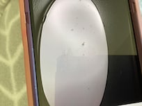 Bugs in kitchen ceiling light fixture