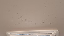 Mold on the ceiling around the vent