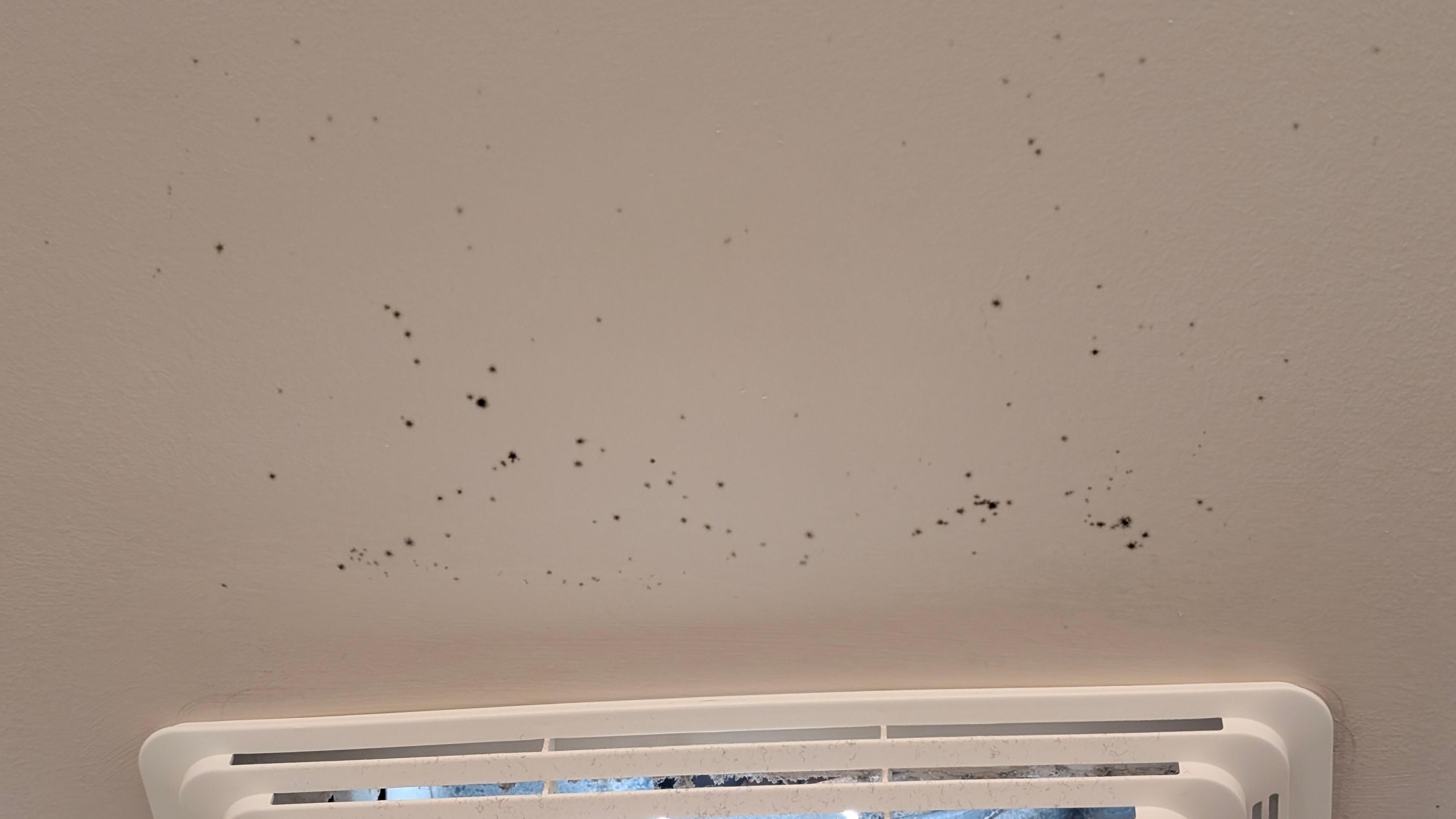 Mold on the ceiling around the vent