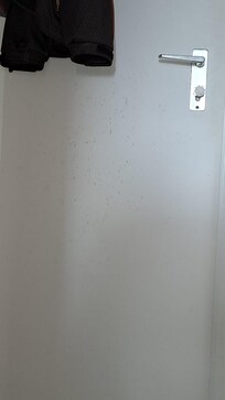 Eingangstüre in Kochnische