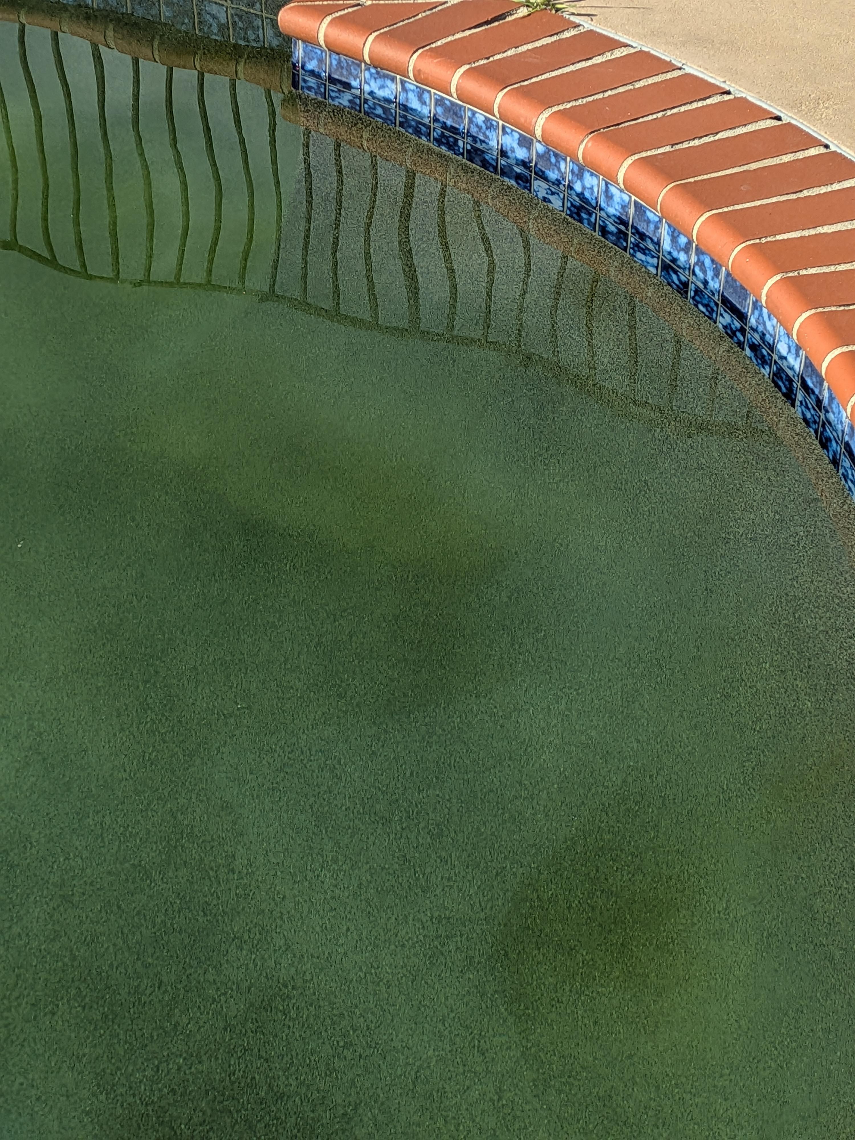 Green algae pool