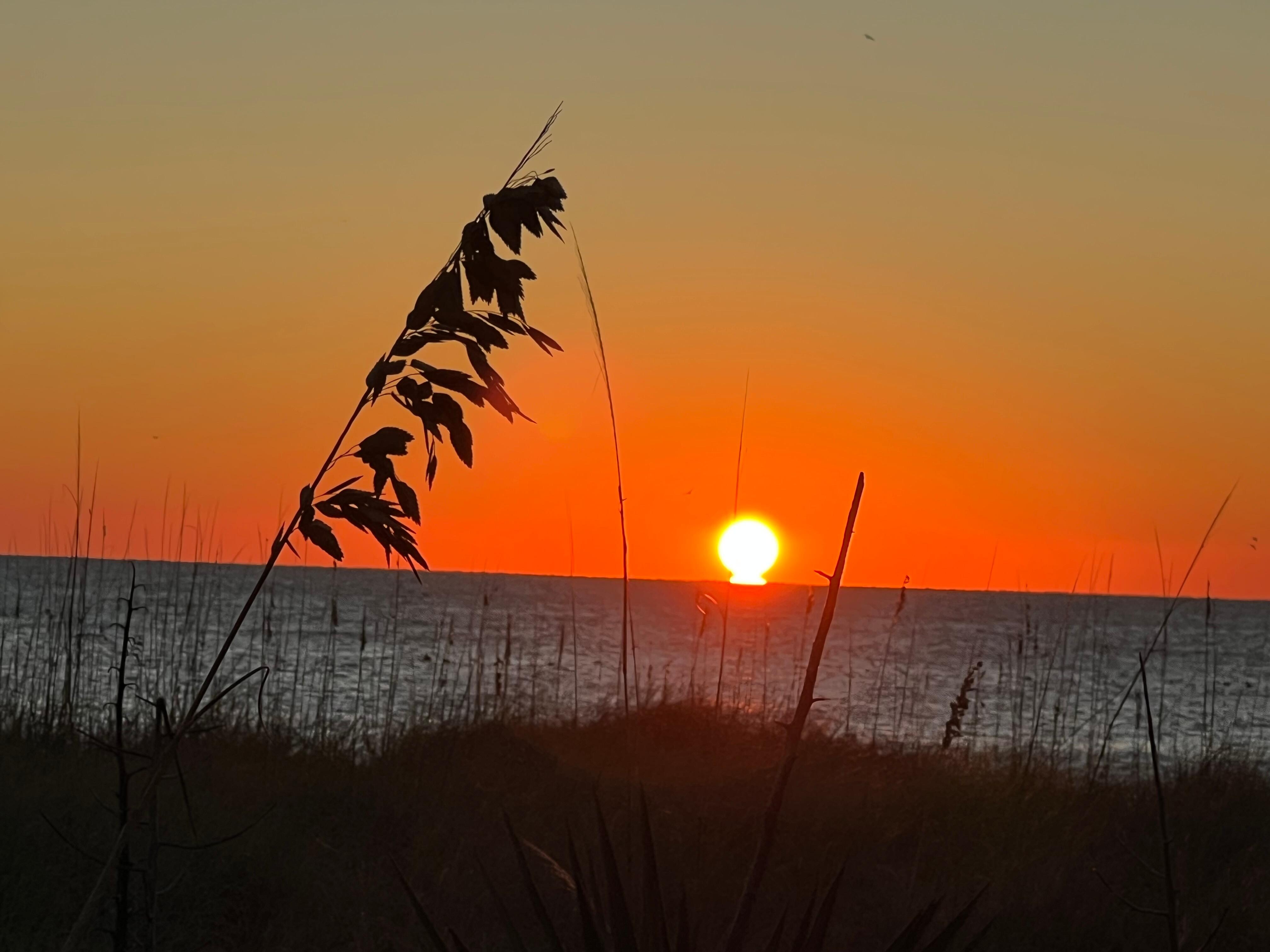 Sunrise right outside the door.