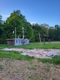 Observé sur la parcelle