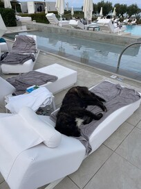 Tiere in der Anlage