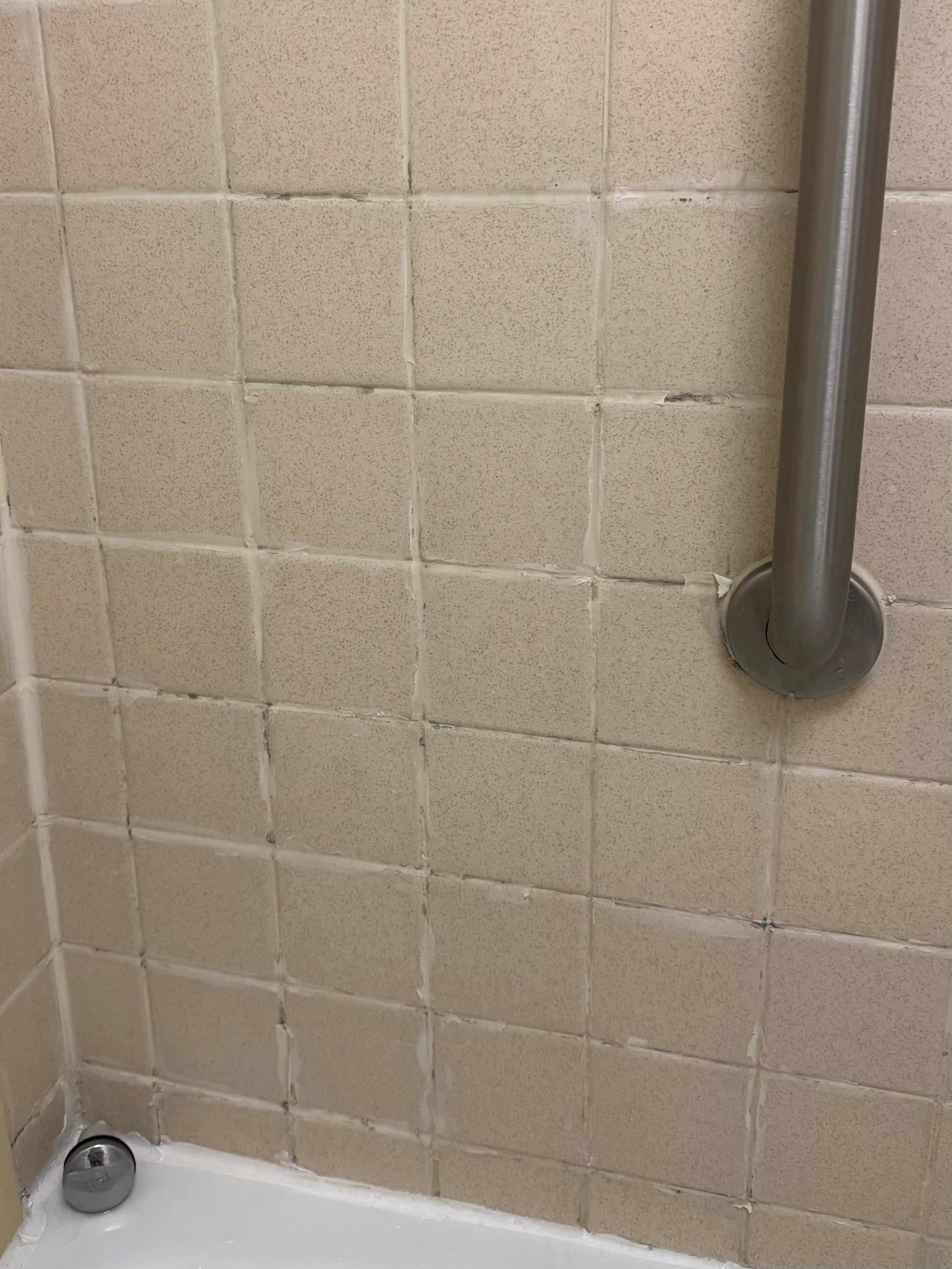 Grout stained and moldy