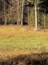 View out front door