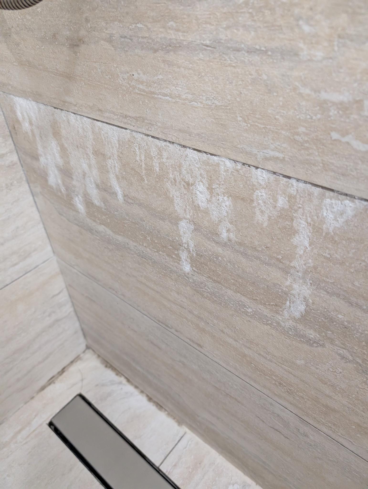 Mold and scale on shower walls