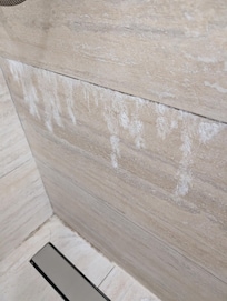 Mold and scale on shower walls