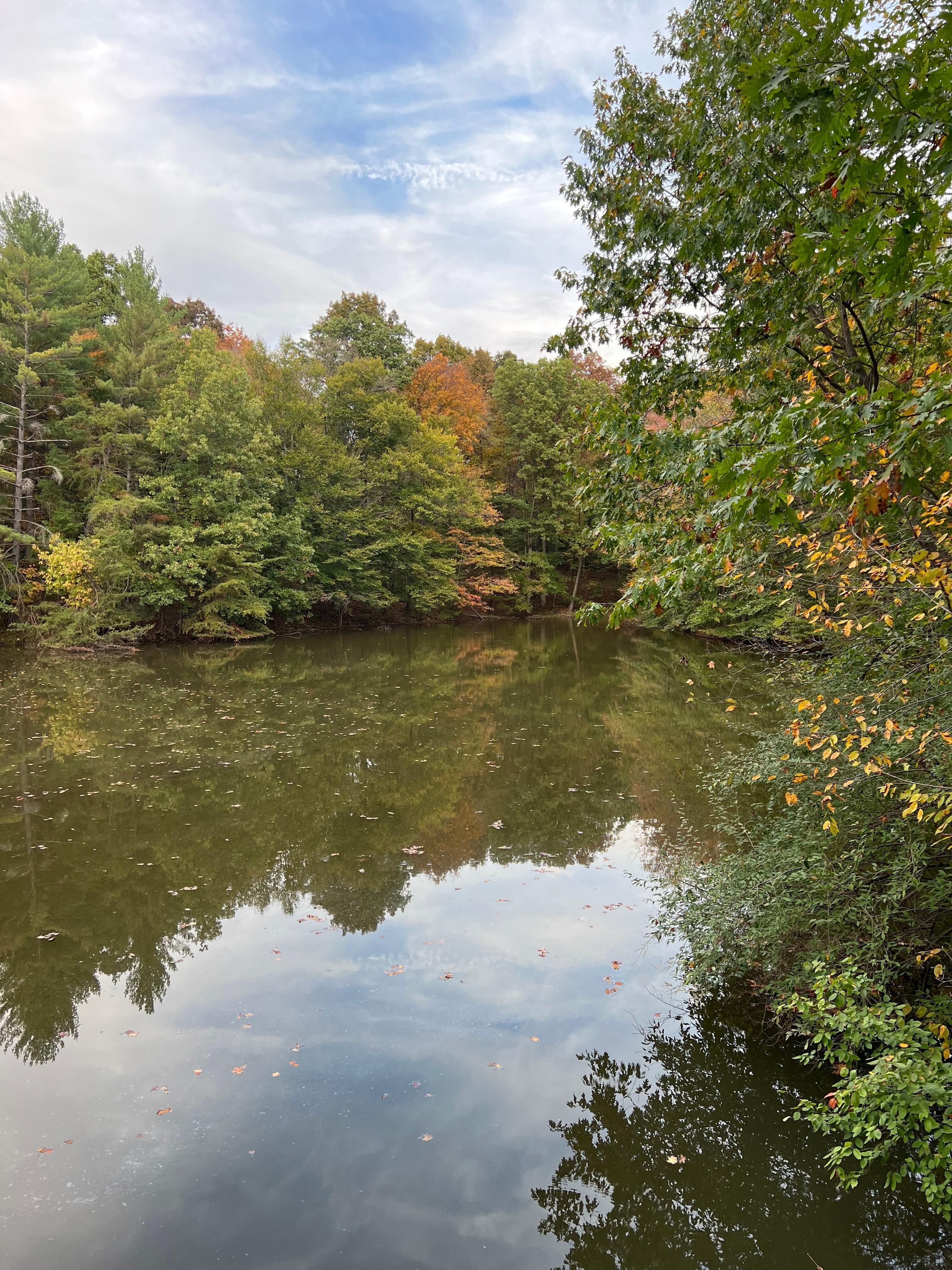 On the little deck next to the pond out front of the cabin