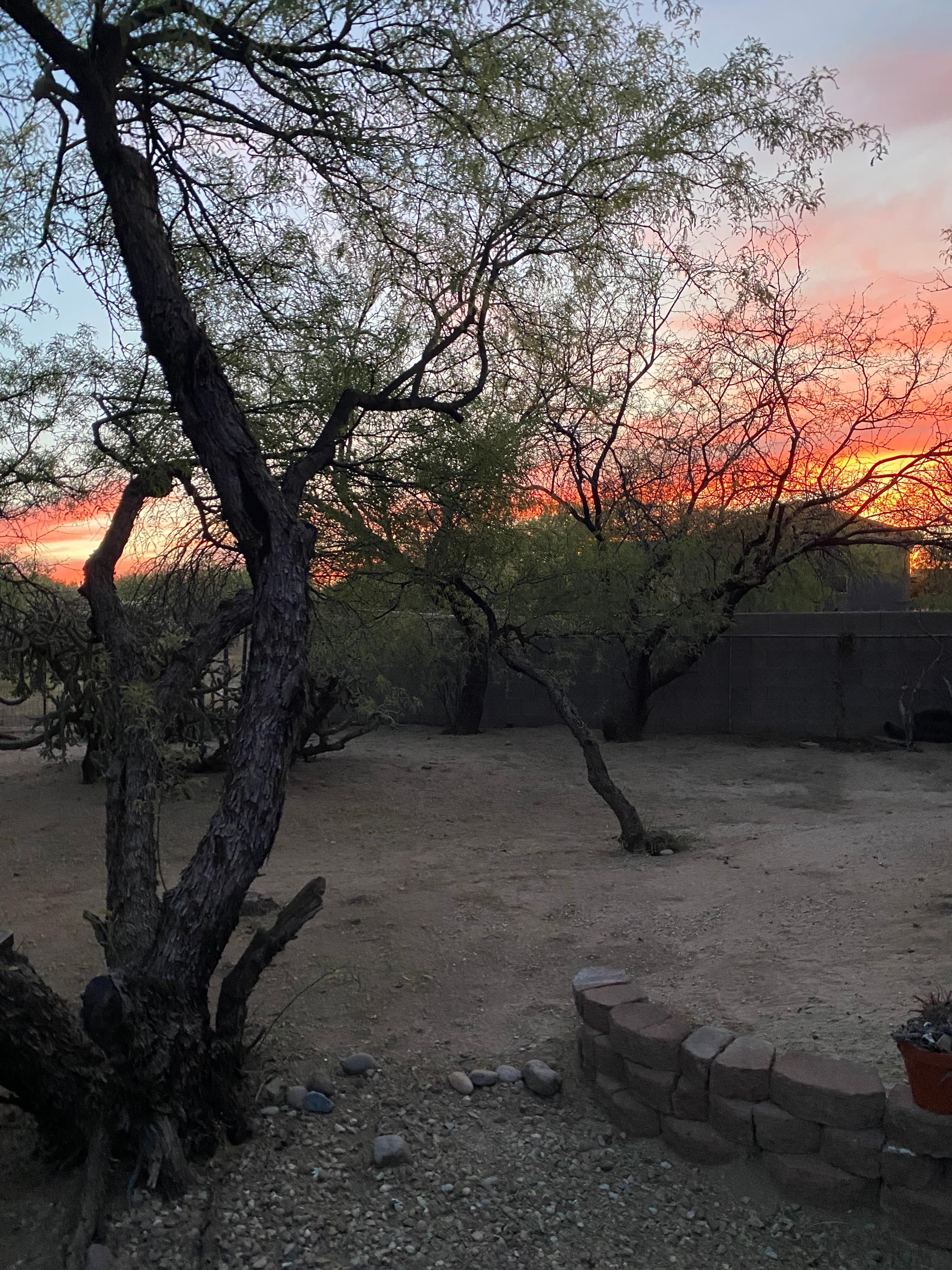 Sunset from the yard