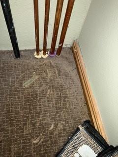 mouse droppings in closet we found when trying to locate water valve shut off 
