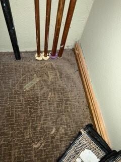 mouse droppings in closet we found when trying to locate water valve shut off 