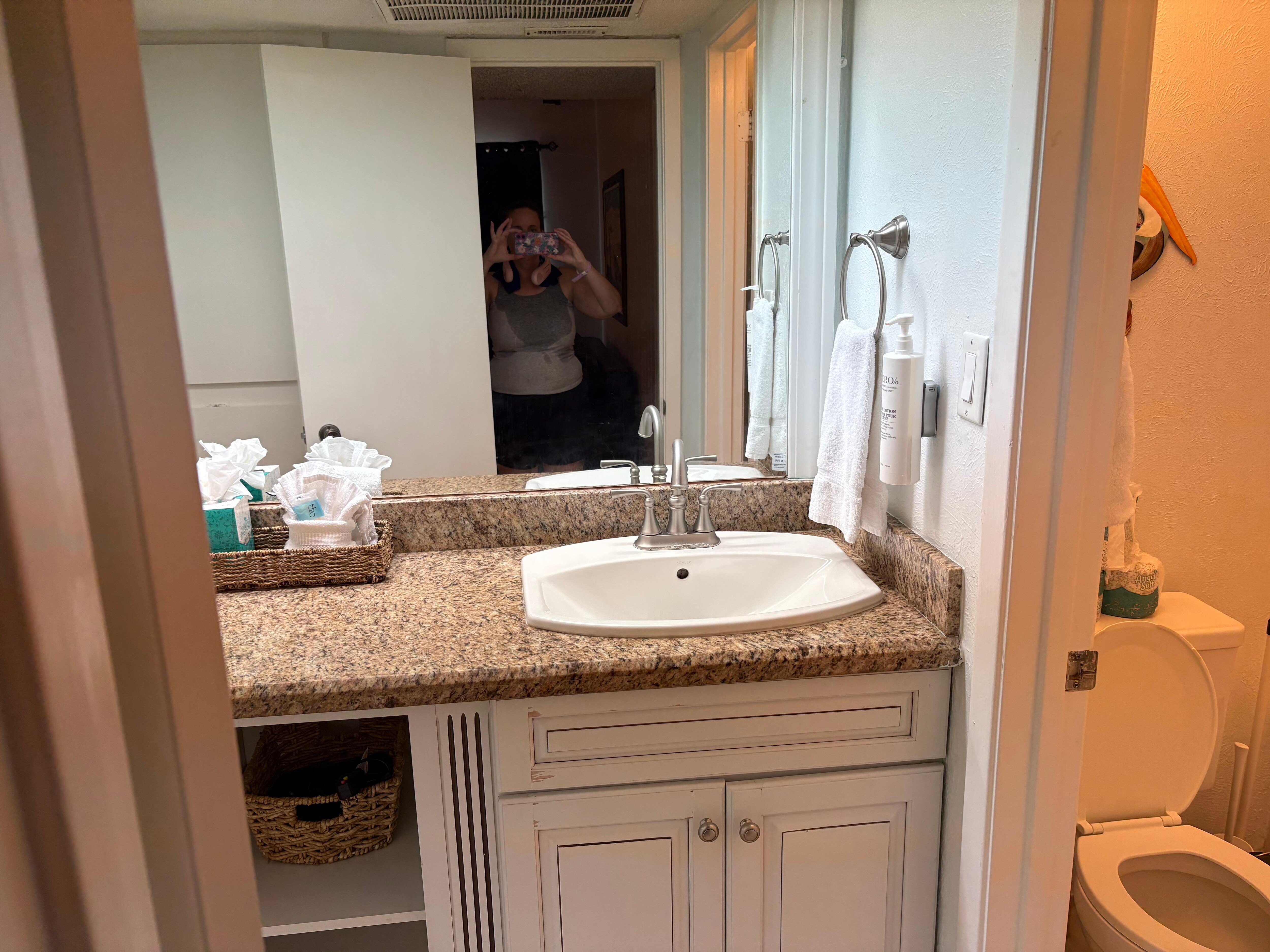 Bathroom sink and vanity