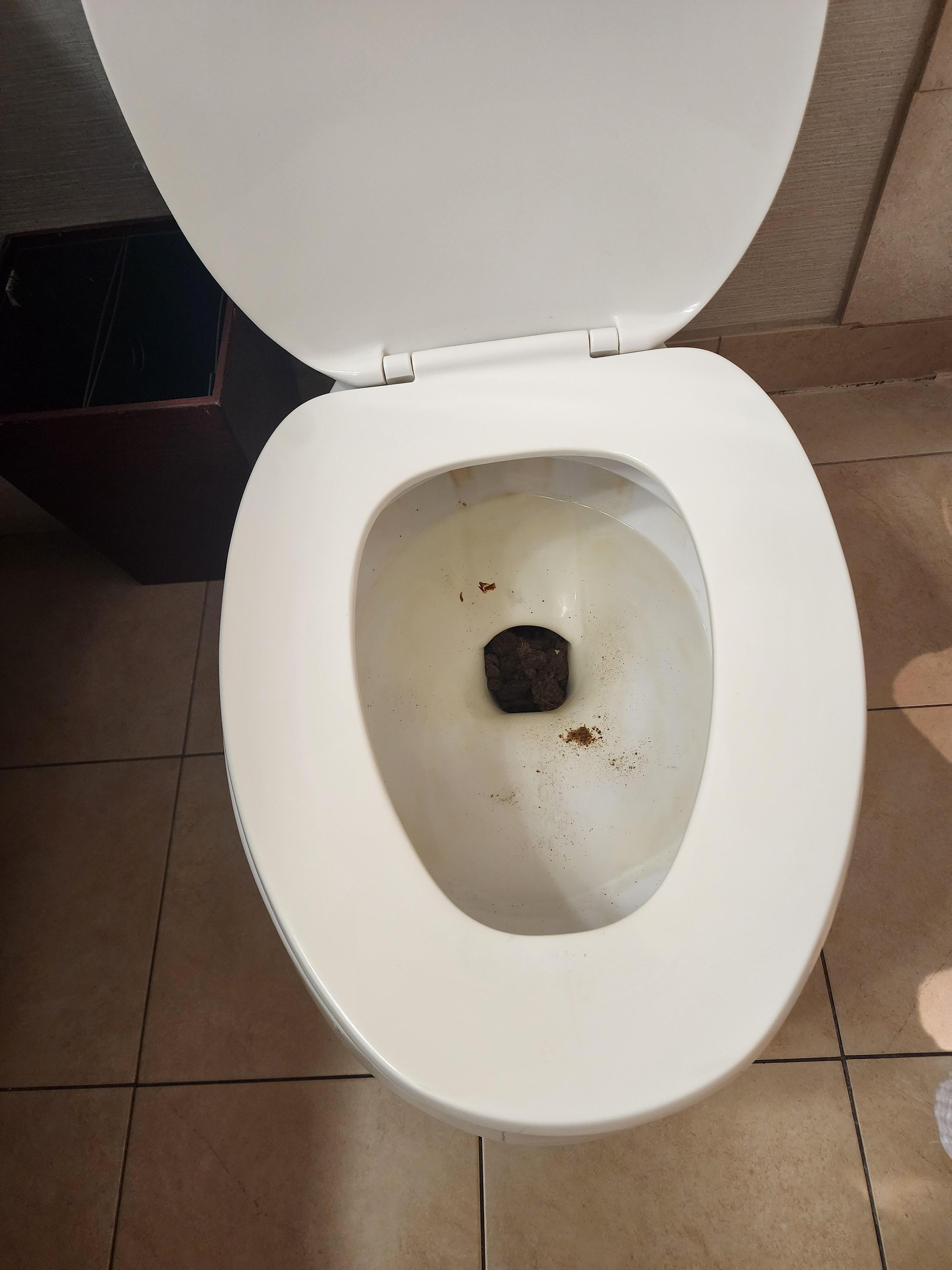 This is what greeted us in our bathroom