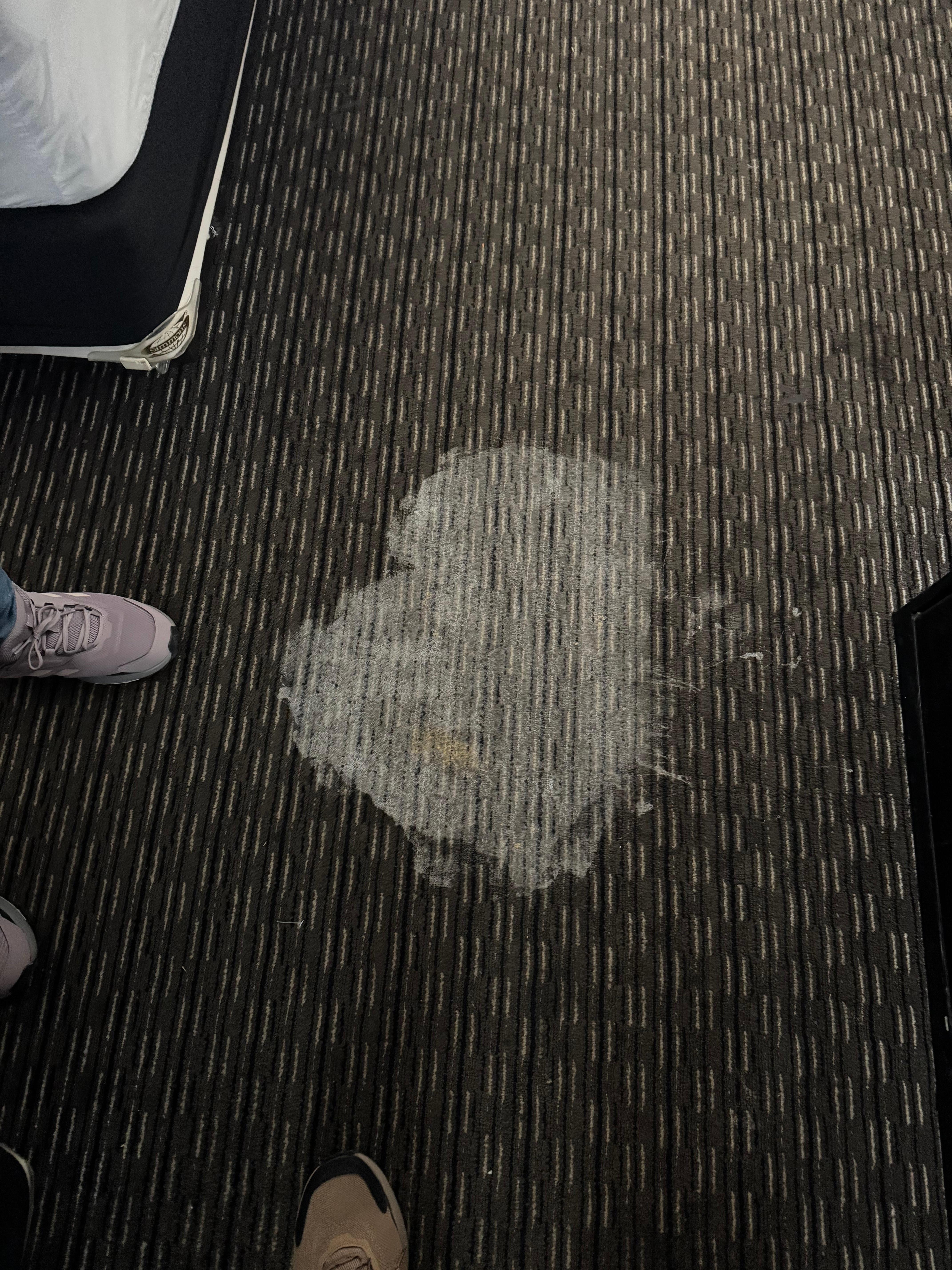 super mancha en la alfombra, pasillos y limpieza mala