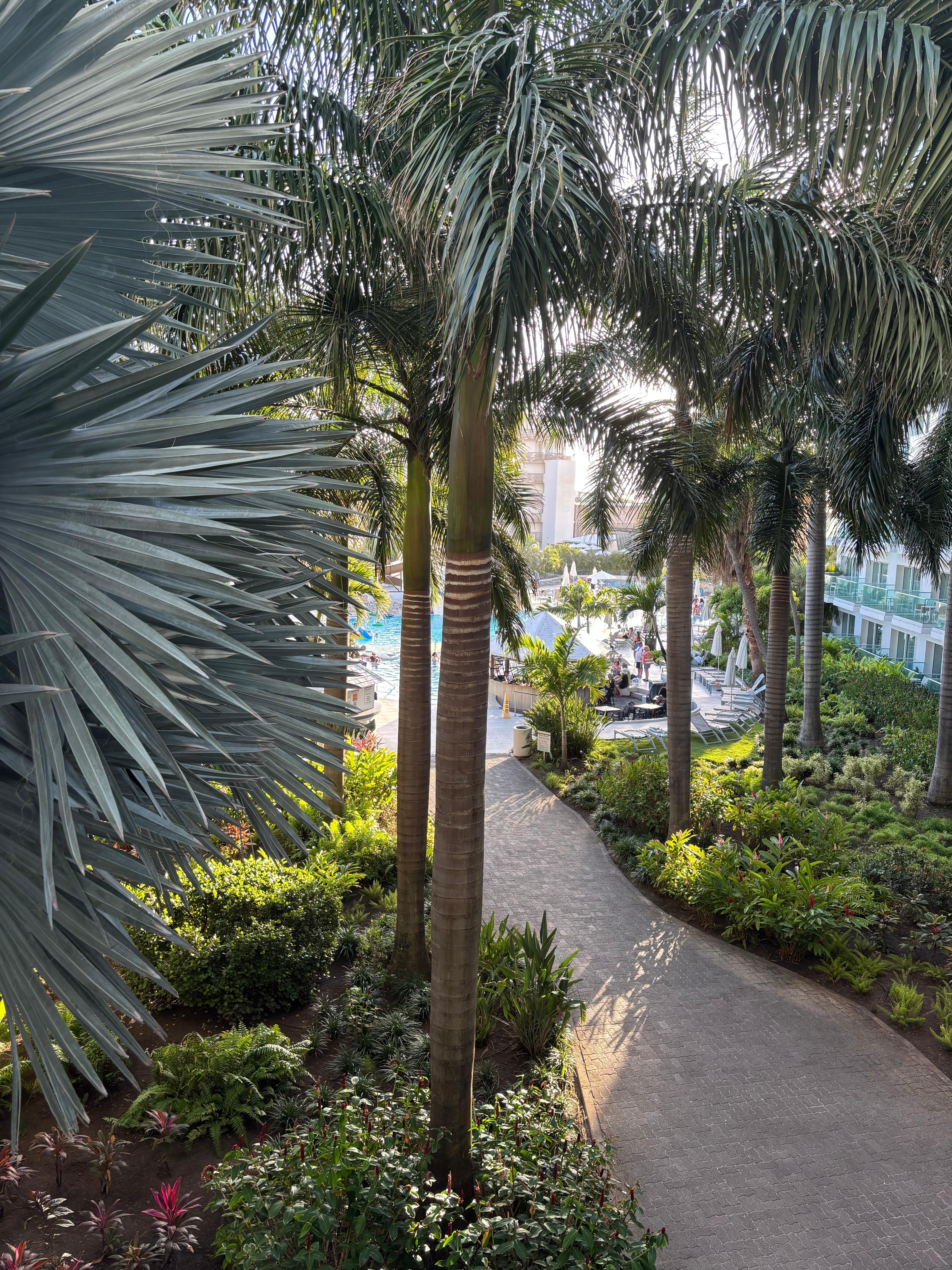 View from our balcony