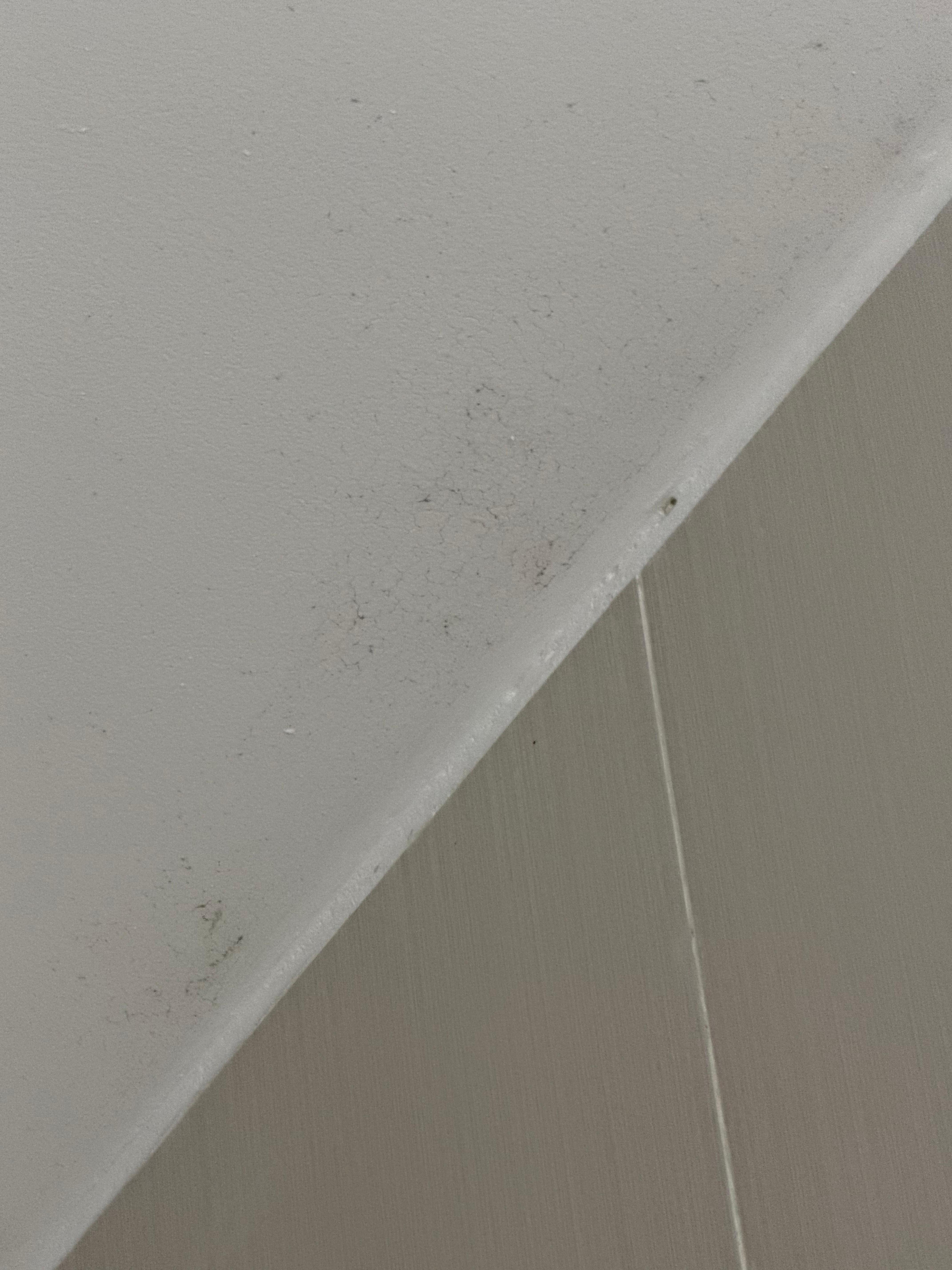 Mold in the shower 