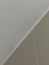 Mold in the shower