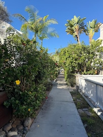Walkway to the beach.