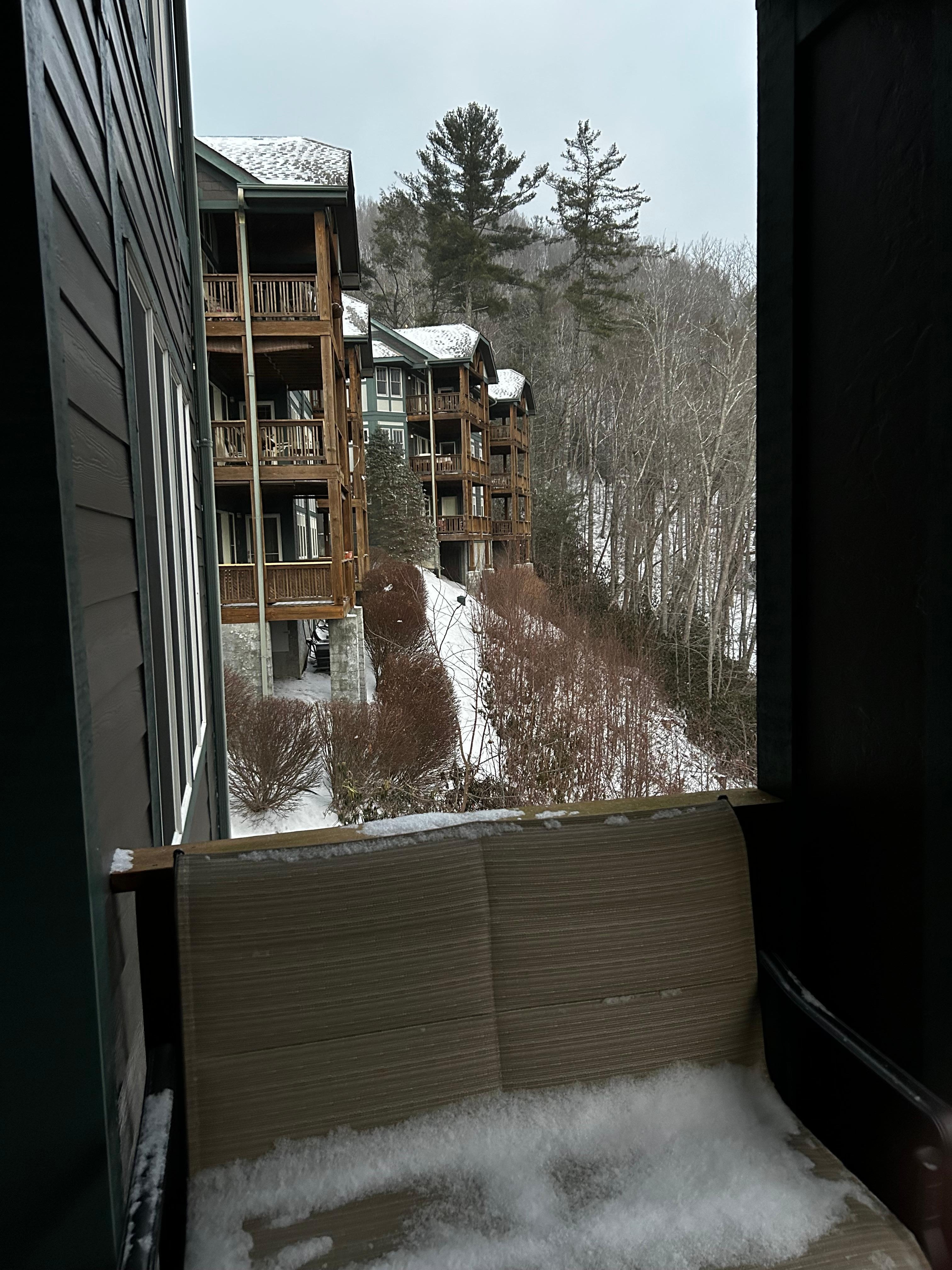 View from back porch area