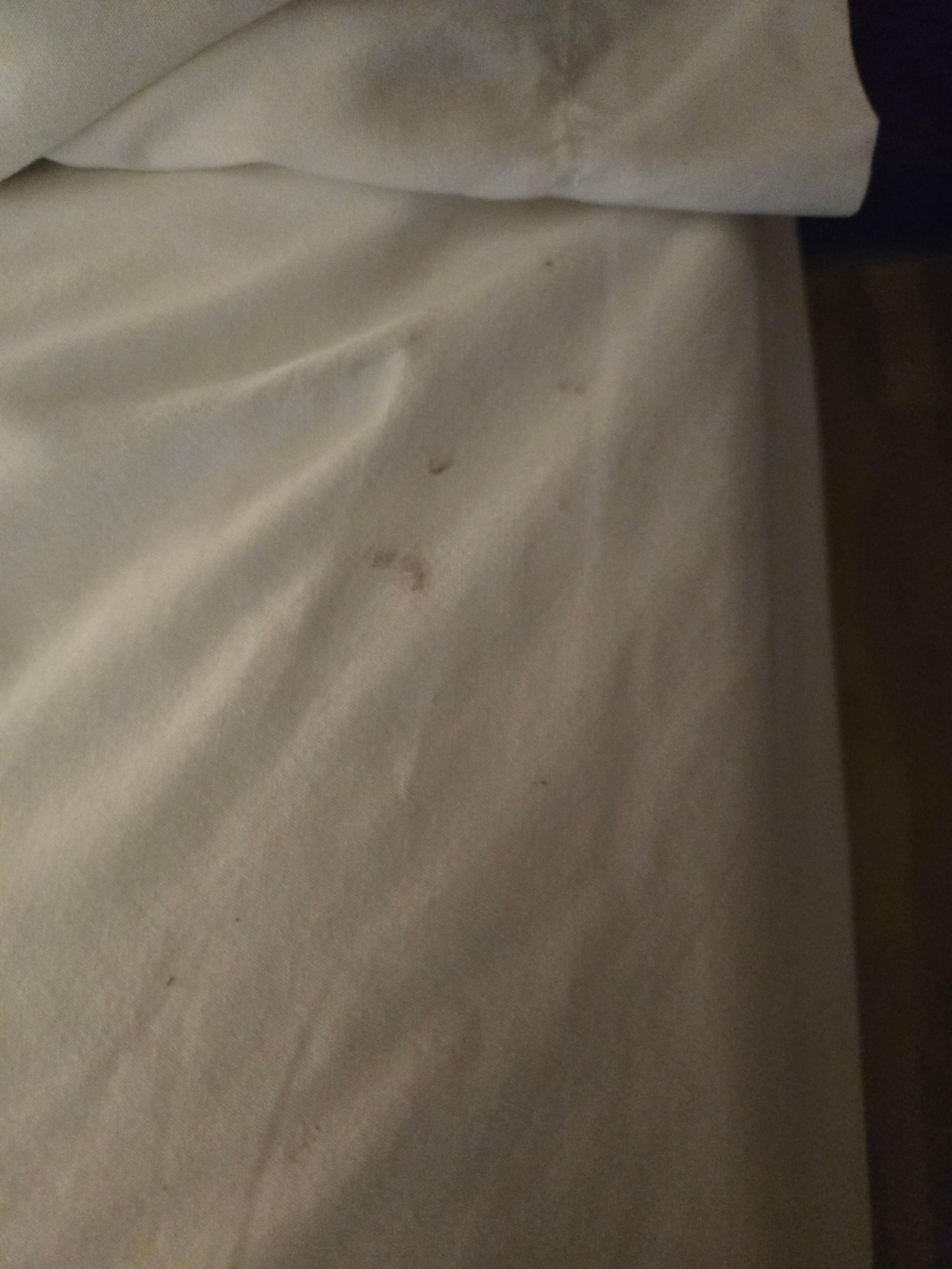 Ants everywhere and the light in the bathroom had stopped working. 