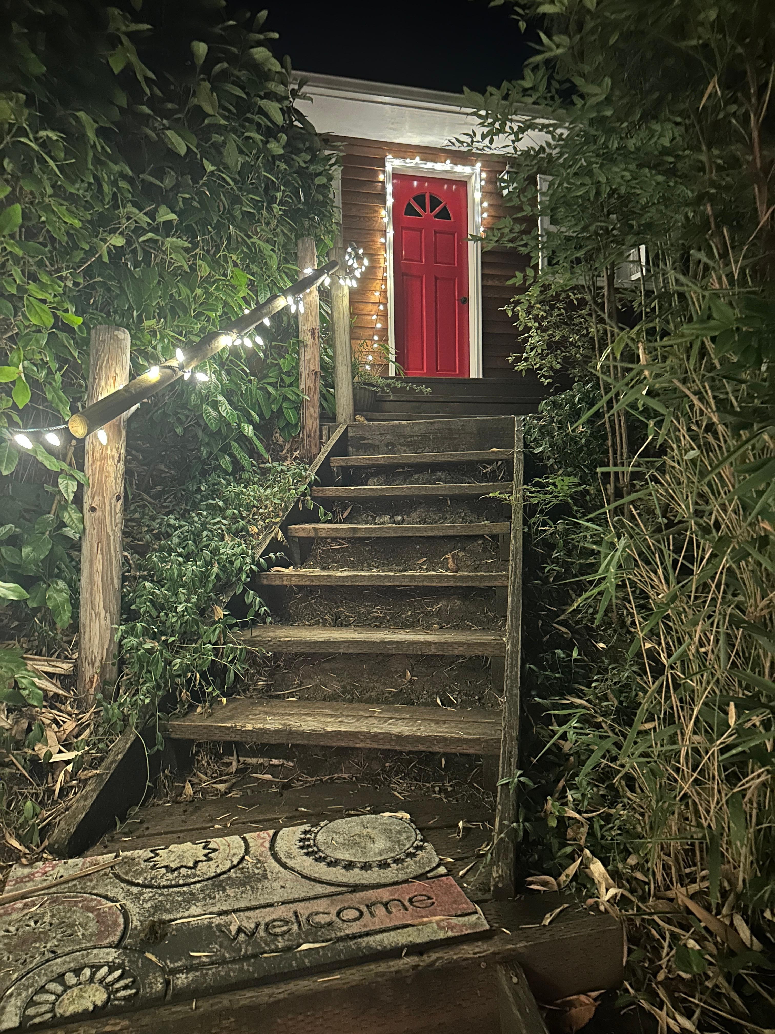 So pretty at night walking up to the cottage with the lights 