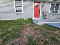 Front yard condition