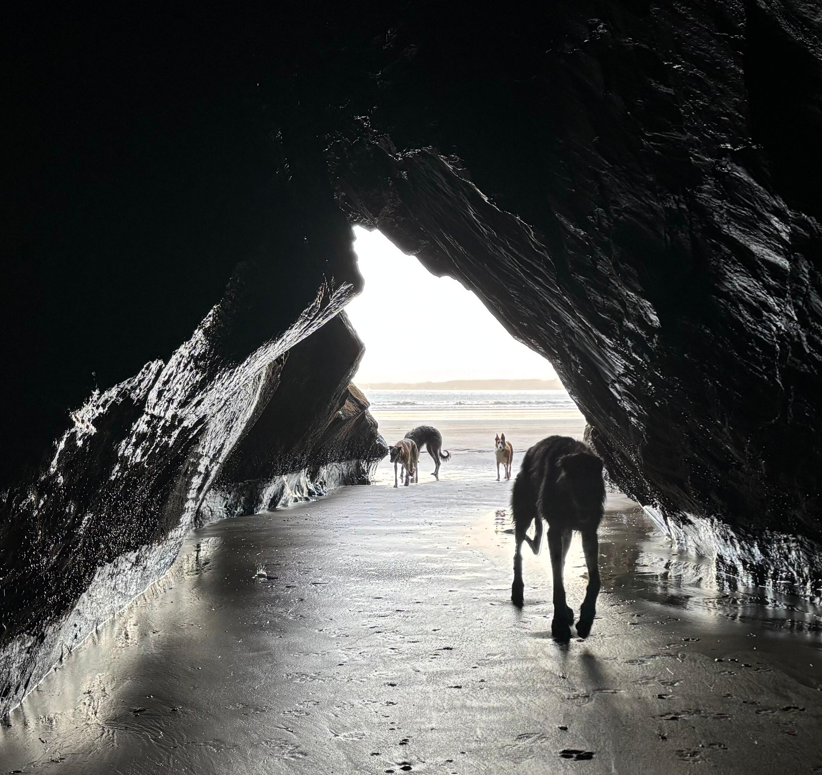 am Strand Höhle bei Ebbe