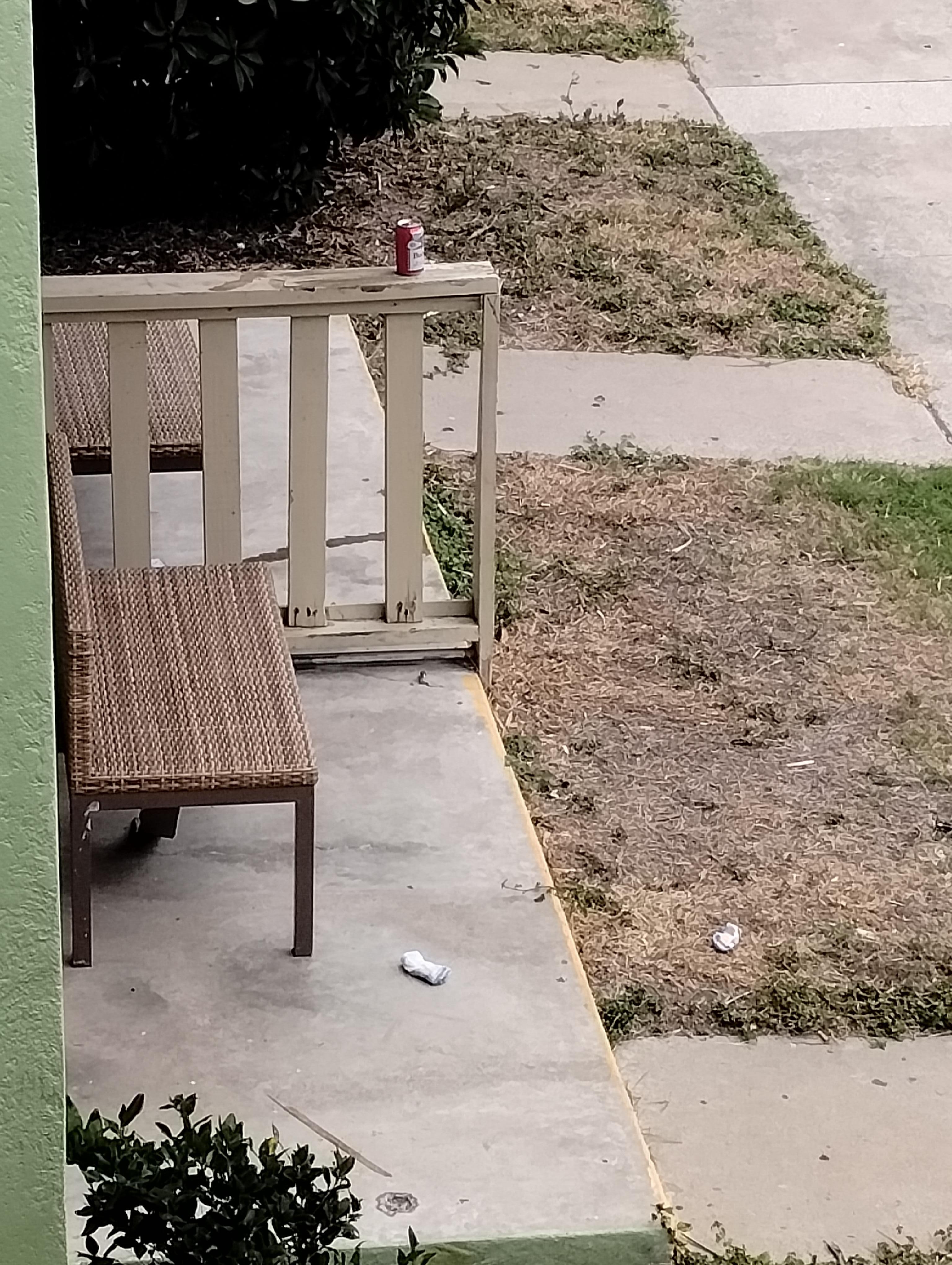 The outside has trash and weeds growing.