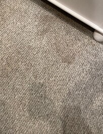 Dirty carpet