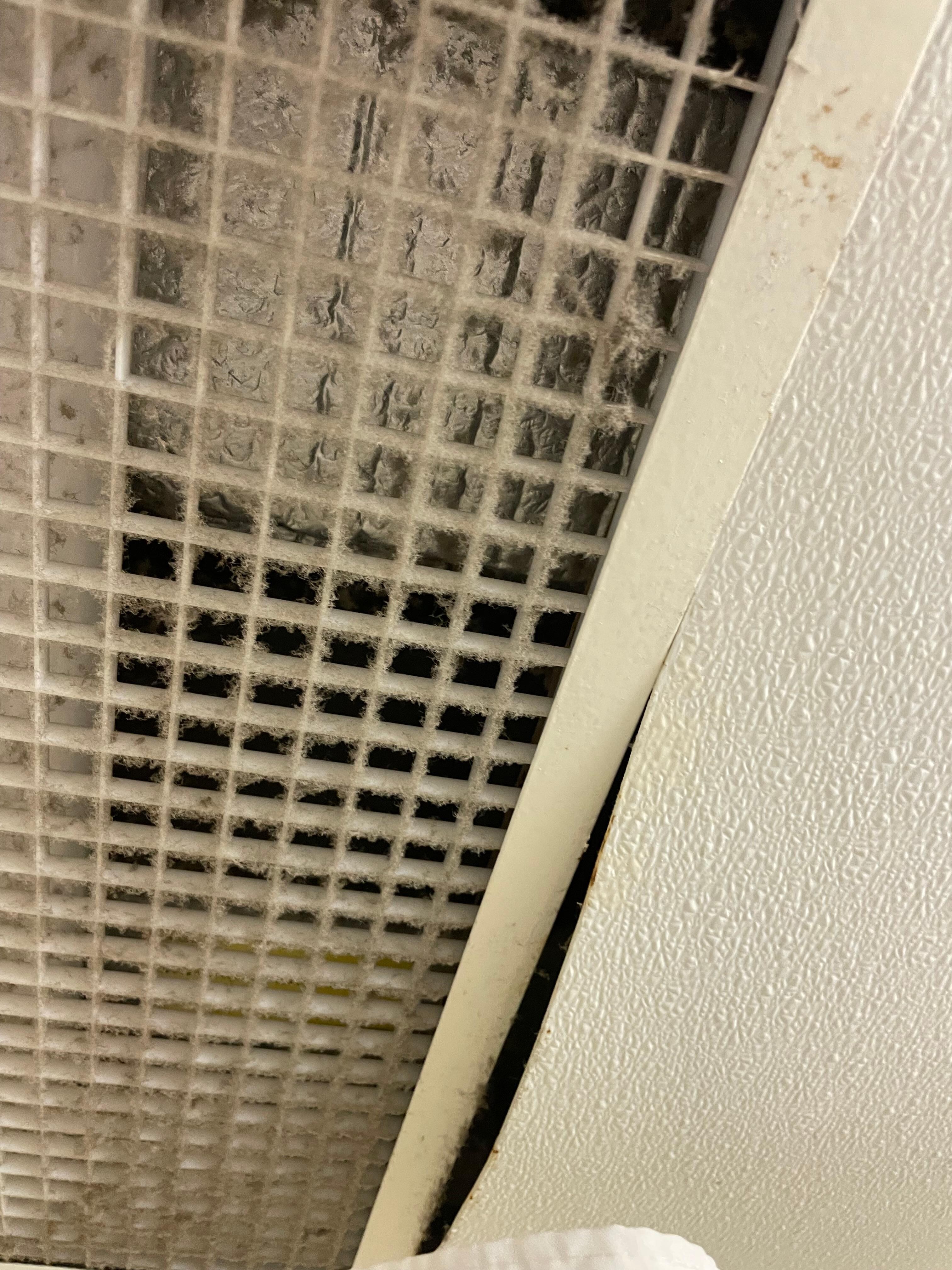 So dirty, mold, dirt, dust and disrepair everywhere 