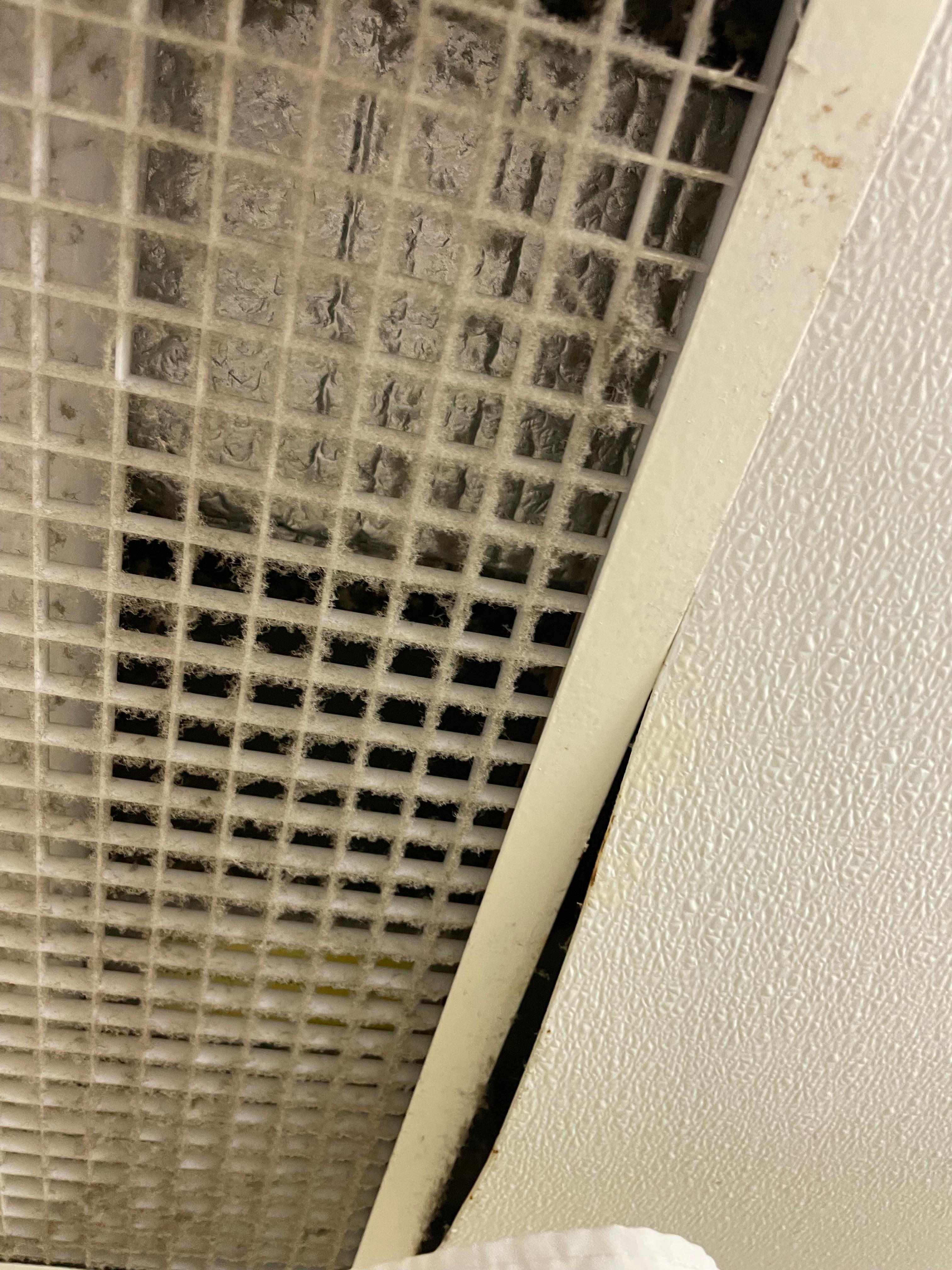 So dirty, mold, dirt, dust and disrepair everywhere